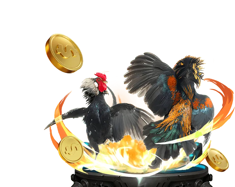 Hướng dẫn Đá Gà BK8